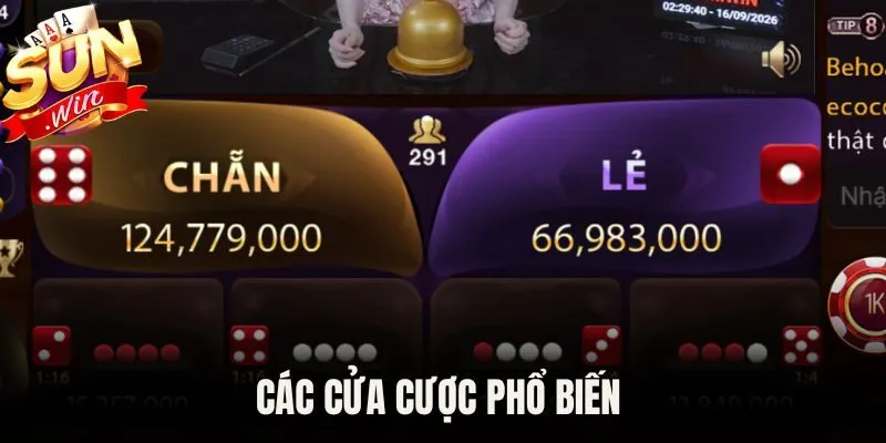 Các cửa cược phổ biến 